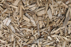 biomass boilers Pinfold